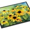 Edge Collections - 18" x 27" - Multicolor - Maryland Black-Eyed Susans Watercolor Doormat Non Slip Washable - 1 Piece